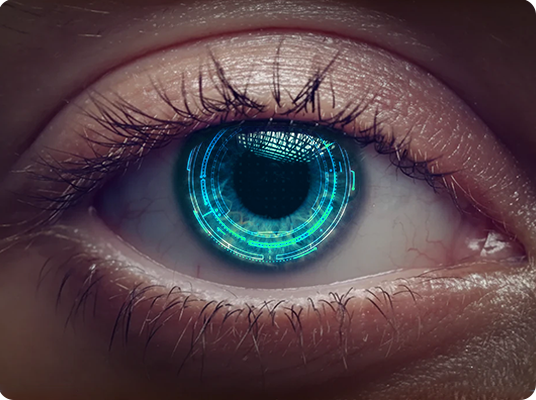 برنامج ذكاء الأعمال (BI)
