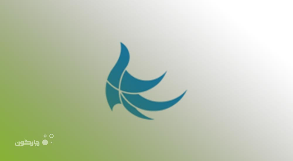 نرم‌افزارهای منابع انسانی و مالی دیدگاه در شرکت سامانه‌های مدیریت