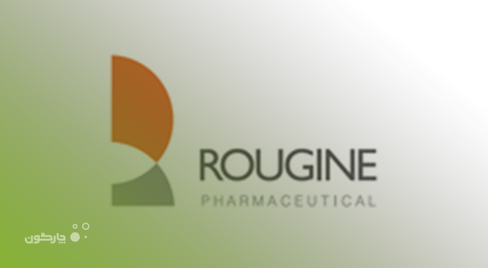  استقرار نرم‌افزار مدیریت فرآیندهای کسب و کار دیدگاه در شرکت روژین دارو